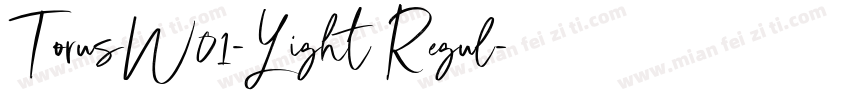 TorusW01-Light Regul字体转换